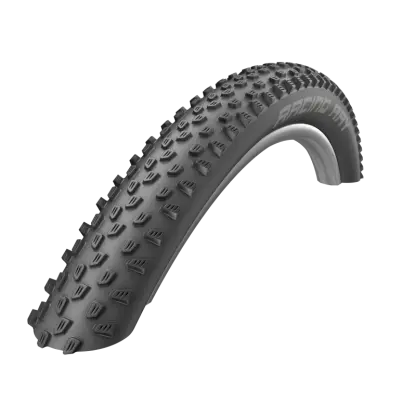 Schwalbe RACING RAY TwinSkin ADDIX 29x2.25"