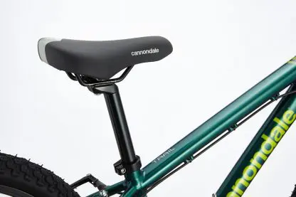 BICICLETA Cannondale Trail 20 2020 - Imagen 5