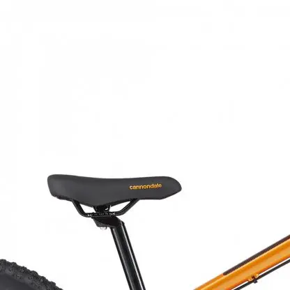 BICICLETA Cannondale Cujo 20  2020 - Imagen 3